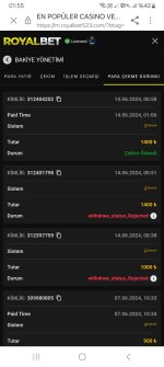 Screenshot_20240614_015534_Samsung Internet.jpg