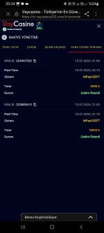 Screenshot_20240718_203456_Samsung Internet.jpg