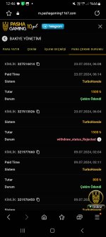 Screenshot_20240723_124613_Samsung Internet.jpg