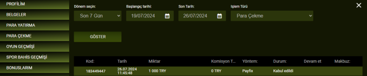 Ekran görüntüsü 2024-07-26 131322.png