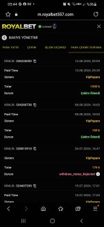 Screenshot_20240813-054402_Samsung Internet.jpg