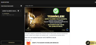 Ekran görüntüsü 2024-08-17 154541.png