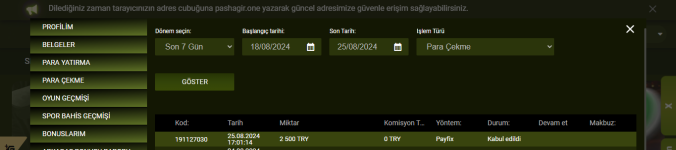 Ekran görüntüsü 2024-08-25 170420.png