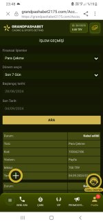 Screenshot_20240904-234812_Samsung Internet.jpg