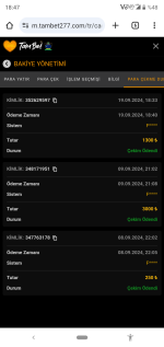 Ekran görüntüleri_20240919-184725.png