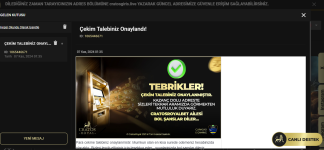 Ekran görüntüsü 2024-11-07 013756.png