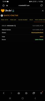 Screenshot_20250112_134957_Samsung Internet.jpg