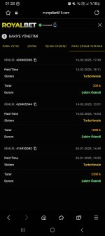 Screenshot_20250215_012829_Samsung Internet.jpg