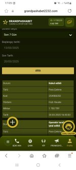 Screenshot_20250320_170509_Samsung Internet.jpg