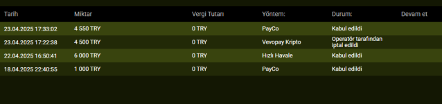 Ekran görüntüsü 2025-04-24 040548.png