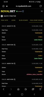 Screenshot_20250513-223452_Samsung Internet.jpg