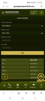 Screenshot_20250605_180215_Samsung Internet.jpg