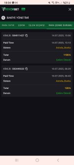 Screenshot_20250714_180440_Samsung Internet.jpg