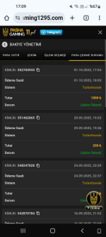 Screenshot_20251002-170950_Chrome Beta.png