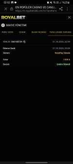 Screenshot_20251022_020231_Samsung Internet.jpg