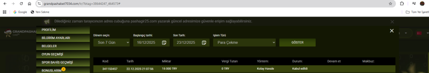 Ekran görüntüsü 2025-12-23 002443.png