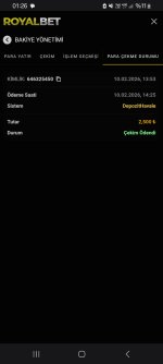 Screenshot_20260211_012634_Samsung Internet.jpg