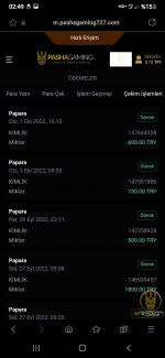 Screenshot_20221002-024939_Samsung Internet.jpg