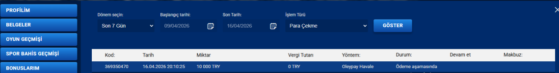 Ekran görüntüsü 2026-04-16 210725.png