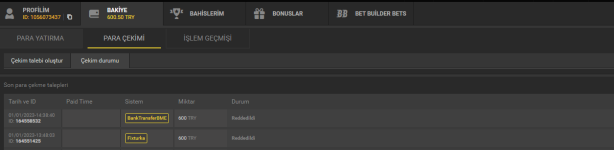 Ekran Alıntısı11.PNG