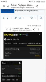 Screenshot_20230310-223326_Samsung Internet.jpg