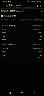 Screenshot_20230817-014828_Samsung Internet.jpg