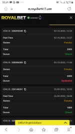 Screenshot_20231003-184928_Samsung Internet.jpg