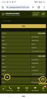 Ekran görüntüleri_20240117-135938.png